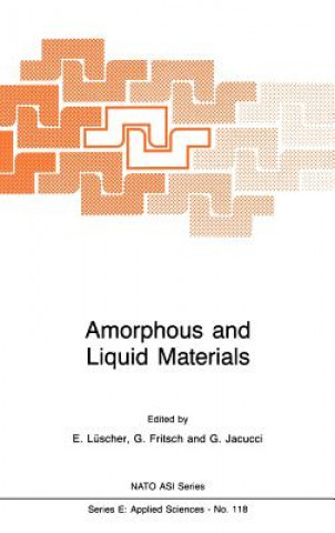 Kniha Amorphous and Liquid Materials E. Lüscher