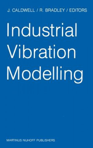 Kniha Industrial Vibration Modelling J. Caldwell