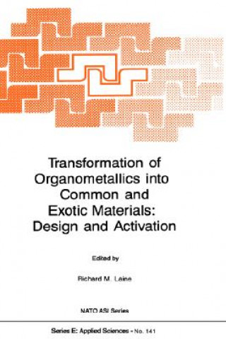 Könyv Transformation of Organometallics into Common and Exotic Materials: Design and Activation R.M. Laine