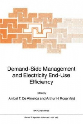 Kniha Demand-Side Management and Electricity End-Use Efficiency A. de Almeida