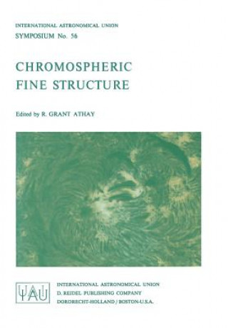 Könyv Chromospheric Fine Structure R.G. Athay