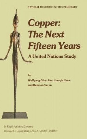 Knjiga Copper: The Next Fifteen Years W. Gluschke