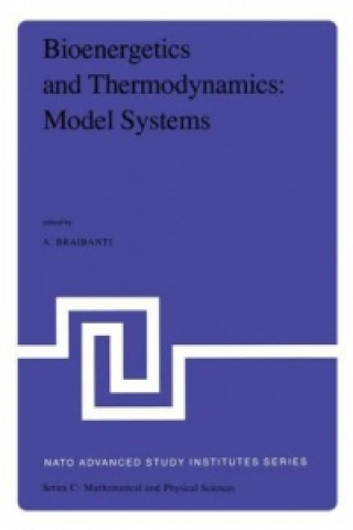 Kniha Bioenergetics and Thermodynamics: Model Systems A. Braibanti