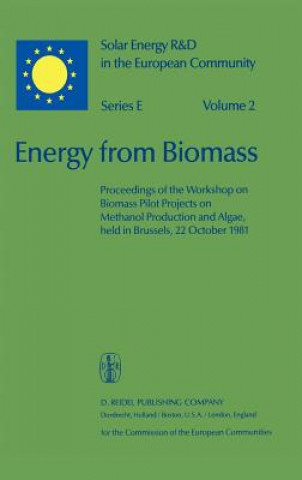 Könyv Energy from Biomass Willeke Palz