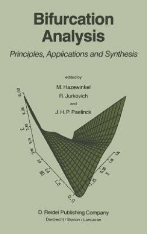 Könyv Bifurcation Analysis Michiel Hazewinkel