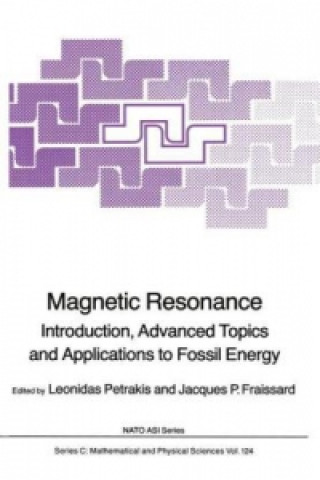 Könyv Magnetic Resonance Leonidas Petrakis