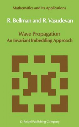 Kniha Wave Propagation N.D. Bellman