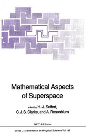 Knjiga Mathematical Aspects of Superspace H.J. Seifert