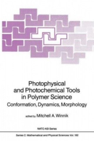 Książka Photophysical and Photochemical Tools in Polymer Science Mitchell A. Winnik