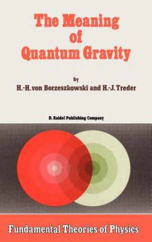 Kniha The Meaning of Quantum Gravity H. H. von Borzeszkowski