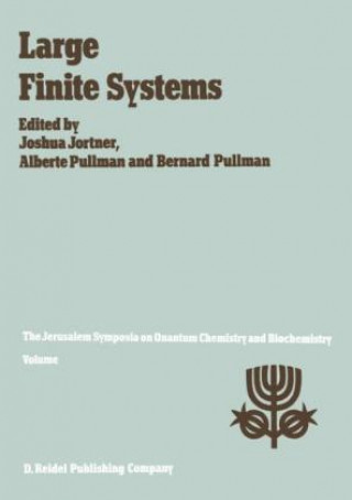 Книга Large Finite Systems Joshua Jortner
