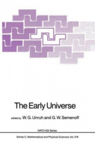 Könyv Early Universe W.G. Unruh