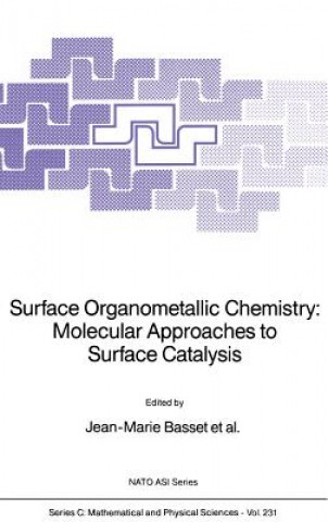 Buch Surface Organometallic Chemistry: Molecular Approaches to Surface Catalysis Jean-Marie Basset