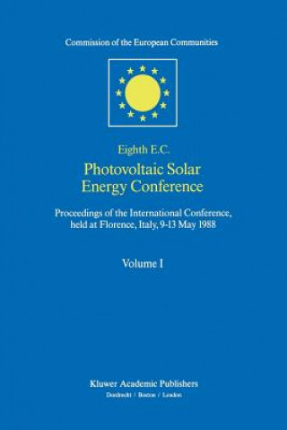Kniha Eighth E.C. Photovoltaic Solar Energy Conference I. Solomon