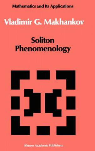 Könyv Soliton Phenomenology Vladimir G. Makhankov