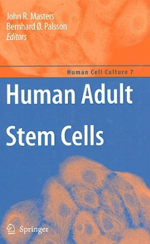 Könyv Human Adult Stem Cells John R. Masters