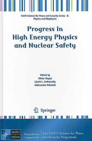 Könyv Progress in High Energy Physics and Nuclear Safety Viktor Begun