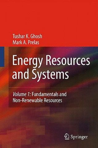 Könyv Energy Resources and Systems Tushar K. Ghosh
