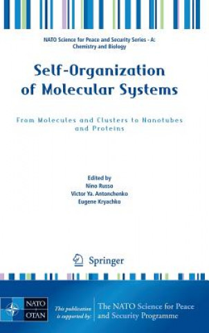 Knjiga Self-Organization of Molecular Systems Nino Russo