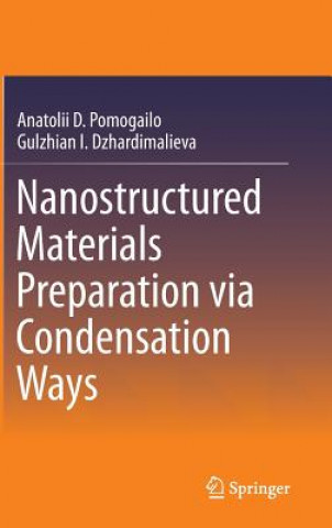 Kniha Nanostructured Materials Preparation via Condensation Ways Anatolii D. Pomogailo