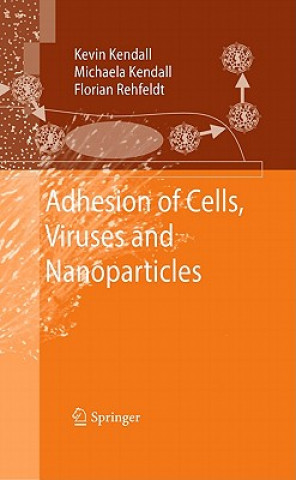 Kniha Adhesion of Cells, Viruses and Nanoparticles Kevin Kendall