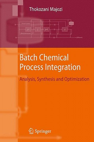 Livre Batch Chemical Process Integration Thokozani Majozi