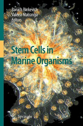 Kniha Stem Cells in Marine Organisms Baruch Rinkevich