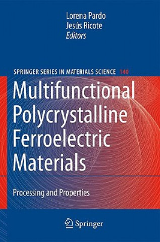 Könyv Multifunctional Polycrystalline Ferroelectric Materials Lorena Pardo