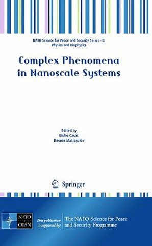 Książka Complex Phenomena in Nanoscale Systems Giulio Casati