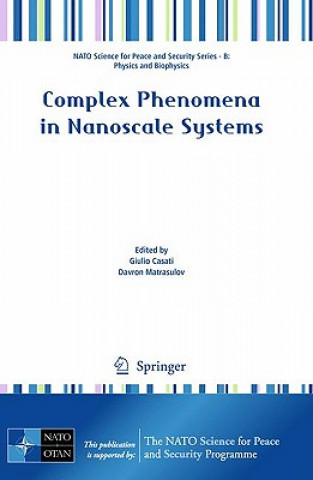 Buch Complex Phenomena in Nanoscale Systems Giulio Casati