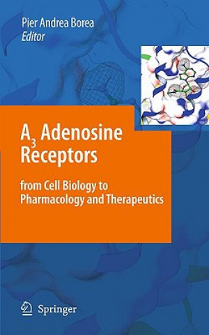Könyv A3 Adenosine Receptors from Cell Biology to Pharmacology and Therapeutics Pier Andrea Borea