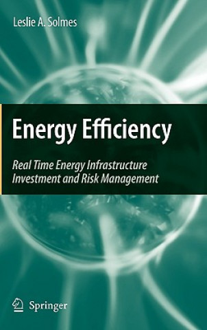 Livre Energy Efficiency Leslie A. Solmes