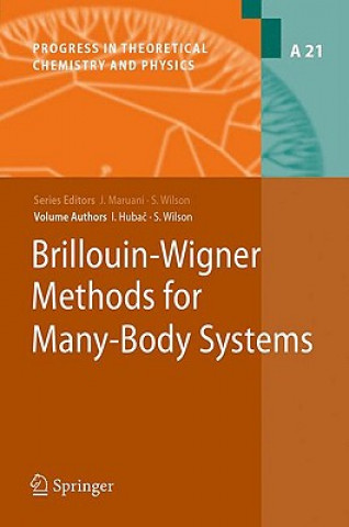 Kniha Brillouin-Wigner Methods for Many-Body Systems Stephen Wilson
