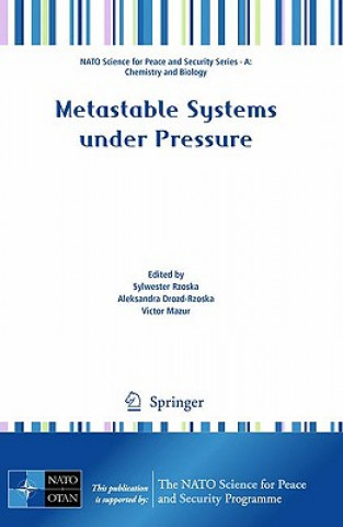 Könyv Metastable Systems under Pressure Sylwester Rzoska