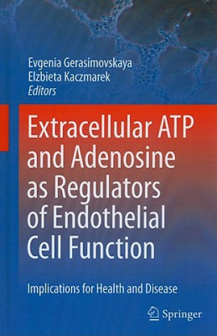Könyv Extracellular ATP and adenosine as regulators of endothelial cell function Evgenia Gerasimovskaya
