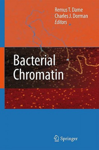 Kniha Bacterial Chromatin Remus T. Dame