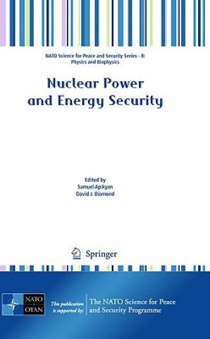 Könyv Nuclear Power and Energy Security Samuel A. Apikyan