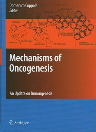 Könyv Mechanisms of Oncogenesis Domenico Coppola