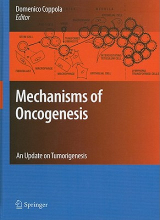 Książka Mechanisms of Oncogenesis Domenico Coppola