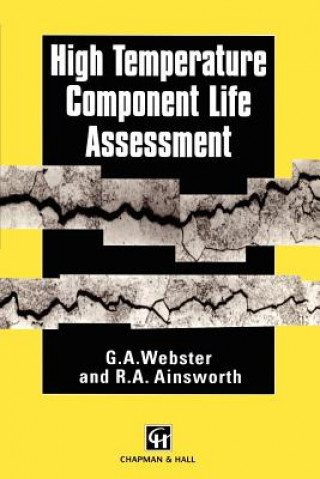 Könyv High Temperature Component Life Assessment G.A. Webster