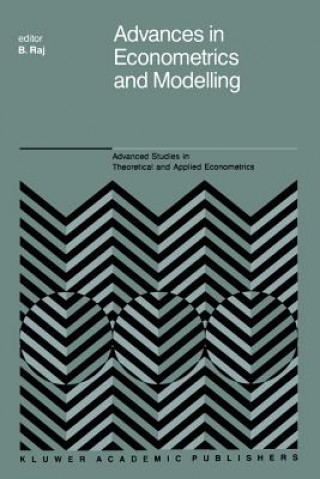 Kniha Advances in Econometrics and Modelling B. Raj