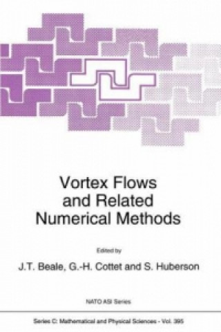 Βιβλίο Vortex Flows and Related Numerical Methods J.T. Beale