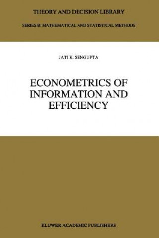 Книга Econometrics of Information and Efficiency Jati K. Sengupta