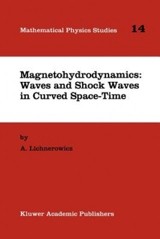 Kniha Magnetohydrodynamics: Waves and Shock Waves in Curved Space-Time A. Lichnerowicz
