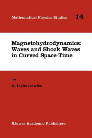 Libro Magnetohydrodynamics: Waves and Shock Waves in Curved Space-Time A. Lichnerowicz