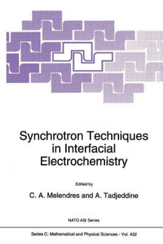 Książka Synchrotron Techniques in Interfacial Electrochemistry C.A. Melendres