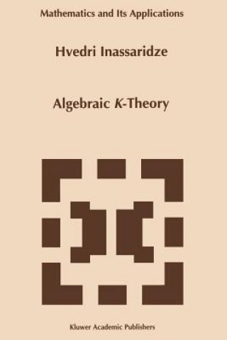 Kniha Algebraic K-Theory Hvedri Inassaridze