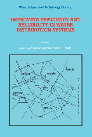 Könyv Improving Efficiency and Reliability in Water Distribution Systems Enrique Cabrera