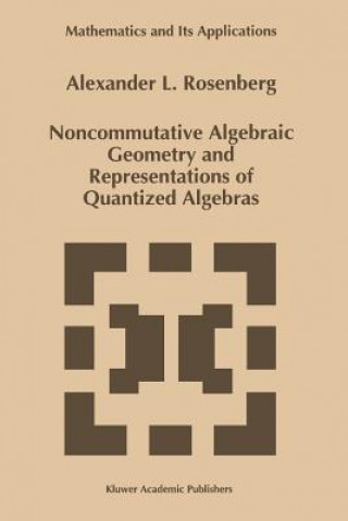 Książka Noncommutative Algebraic Geometry and Representations of Quantized Algebras A. Rosenberg