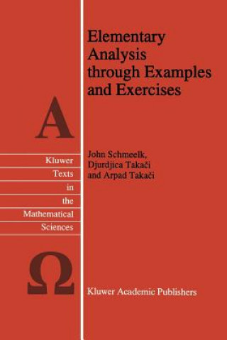Carte Elementary Analysis through Examples and Exercises John Schmeelk